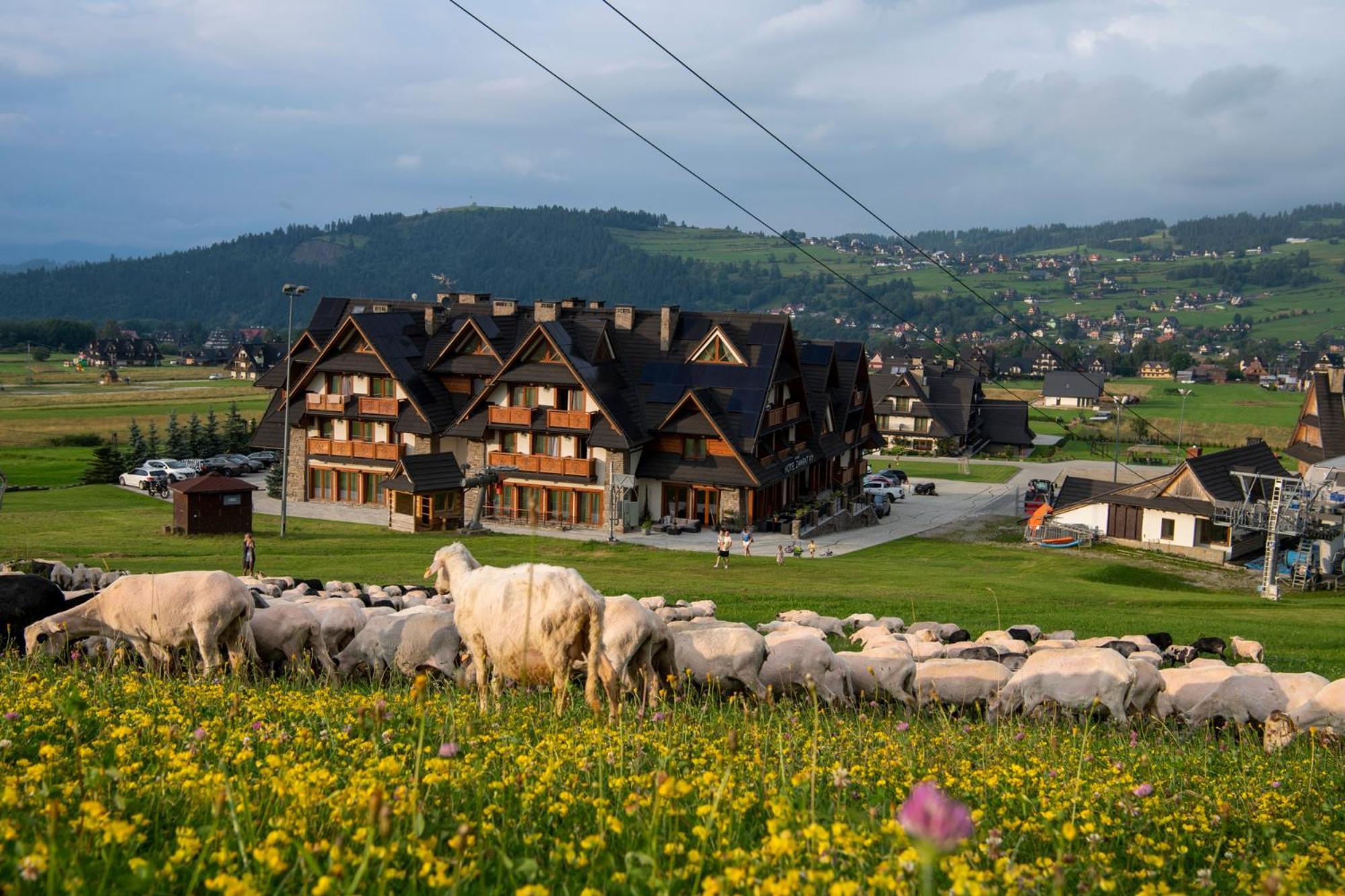 Hotel Zawrat - Krok Na Stok Bialka Tatrzanska Buitenkant foto